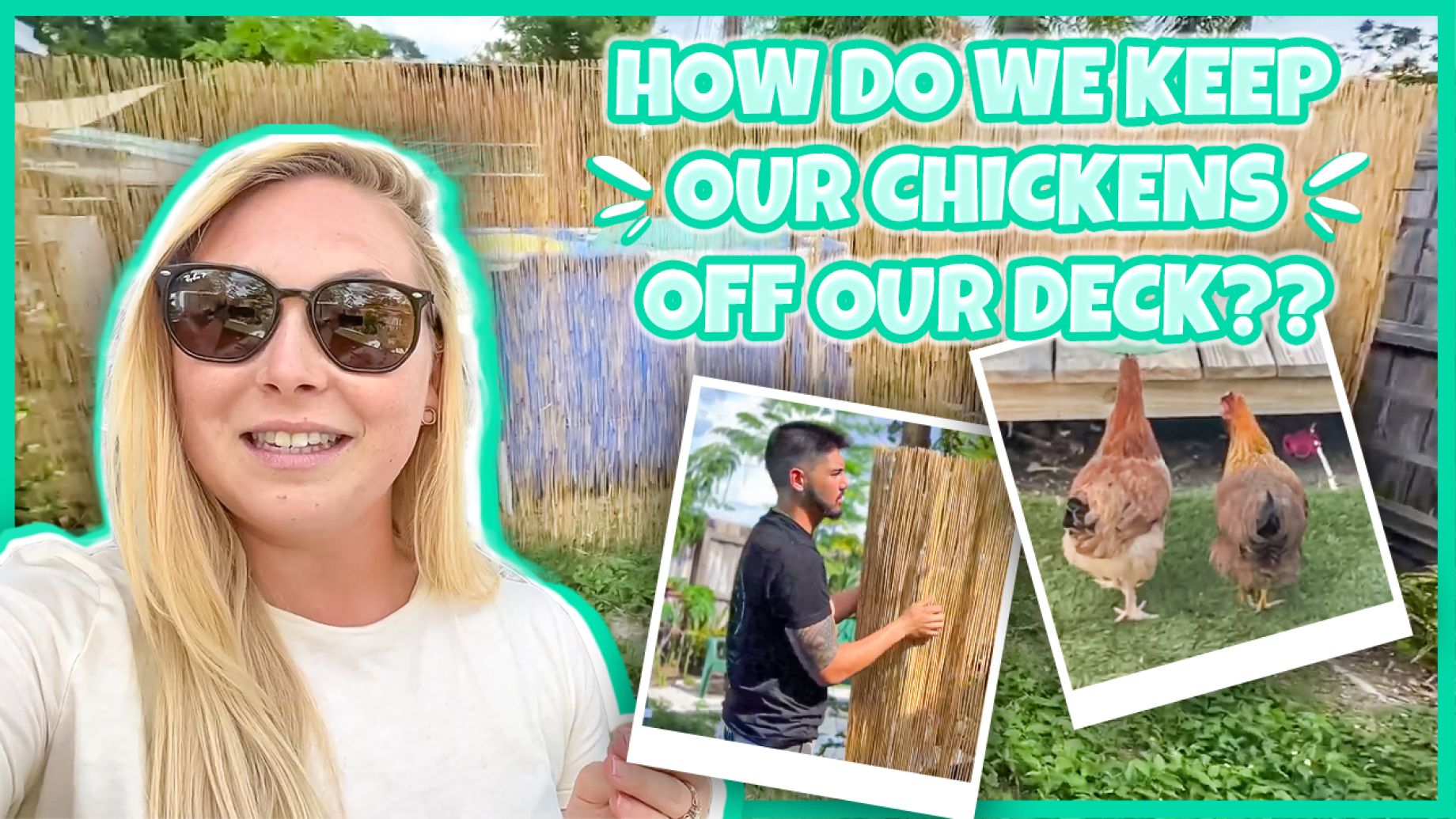 BUILDING A CHICKEN FENCE | Keeping Free Range Chickens Off Our Deck | Tampa Bay Urban Homesteading