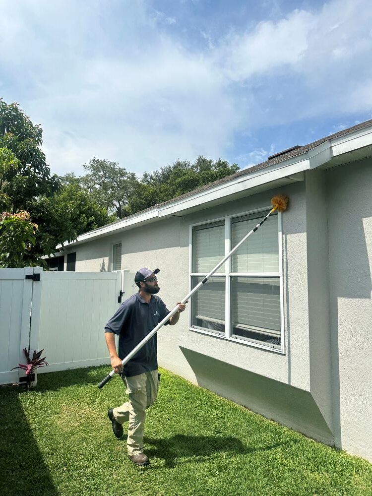 Keeping Your Backyard Pest-Free for Safe Outdoor Play